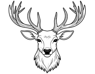 Detailed line art illustration of majestic deer head with impressive antlers
