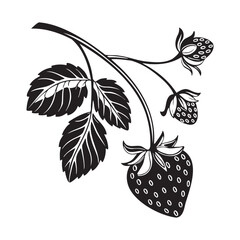 Vintage black and white illustration of a strawberry plant with fruit and leaves