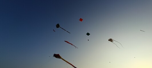 birds in the sky