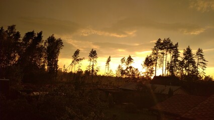 photo sunset sky forest after storm in yellow tones for publication and books beautiful sunsets forest