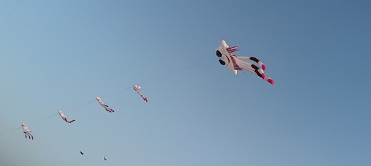kite in flight