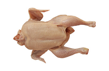 Raw chicken ready to be prepared for cooking on transparent white background . Top view PNG image.
