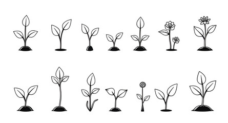 tropical plants set, houseplants set, succulent set, cactus set, leafy plants, herbal plants set, medicinal plants, ornamental plants, small plants set, big plants set, jungle plants, garden plants se