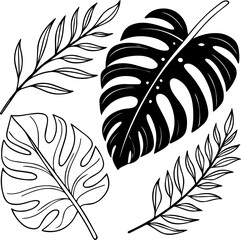 Obraz premium SVG of tropical fern plants.Black and White Tropical Leaves for Decorative Use