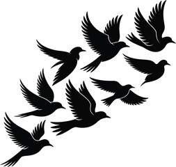 Obraz premium Set of 8 flying bird silhouettes vector — dynamic arrangement with varied angles and wing positions on white background