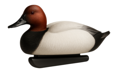 Floating canvasback duck decoy with weighted keel for pond placement