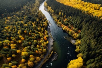 Naklejka premium Forest river outdoors nature.