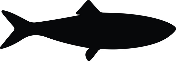 Illustrator Detailed fish vector silhouette of a salmon swimming design