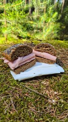 Ham sandwich on whole grain bun placed on moss in forest, outdoor picnic food, rustic snack in...