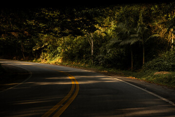Curved Road Through Tropical Forest in Brazil