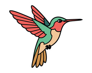 Colorful hummingbird vector illustration
