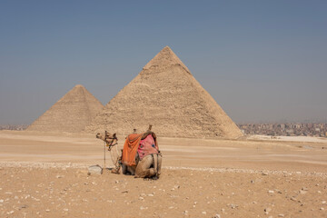 The Pyramids of Giza in Egypt