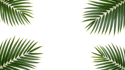 Lush green palm leaves create vibrant tropical frame, enhancing natural beauty and freshness of any design