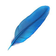 Single blue feather isolated on transparent background