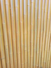 Background image of a close up of a section of bamboo fence