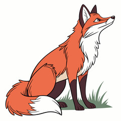 red fox vector illustration