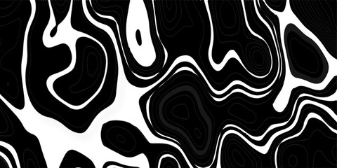 Abstract design with black and white abstract papercut and multi-layer cutout geometric pattern on vector Topographic canyon geometric map relief texture with curved layers beautiful design.	

