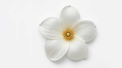 Naklejka premium Macro shot of a Gardenia flower in full bloom with a white background