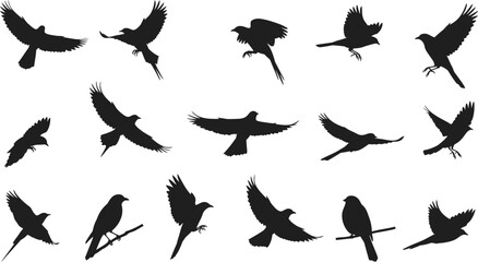 Collection of black bird silhouettes in various flying and perched poses wing 1