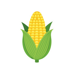 Obraz premium Corn Icon Isolated on a Transparent Background