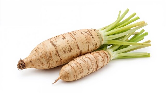 Natural raw taro roots set on a clean white surface