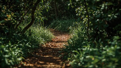 Fototapeta premium Journey into the heart of nature