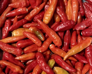 Pile of Fresh Red and Orange Chili Peppers