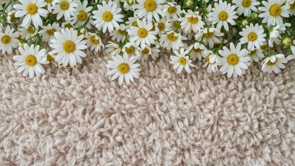 Obraz premium Gentle floral background showcasing daisies on a natural textured surface