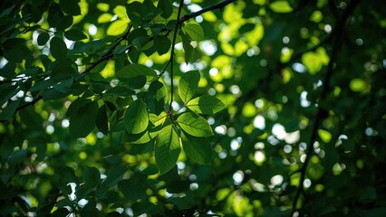 Obraz premium Detailed image of lush green leaves