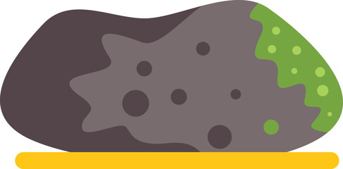 Mossy rock resembling a potato on a shelf, illustrating concepts of botany, geology, and natural history