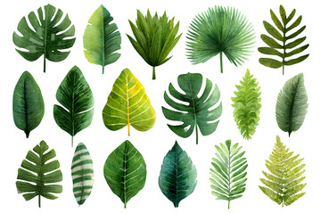Vibrant watercolor tropical leaves collection bringing lush nature and botanical beauty to your designs with fresh green hues and detailed textures.