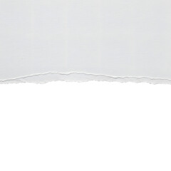 A torn piece of paper with a rough edge, set against a blank backdrop. The torn paper with jagged edges, showing texture and revealing a fresh surface