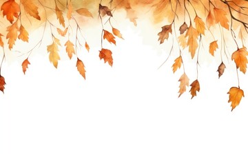 Autumn leaves nature plant maple.