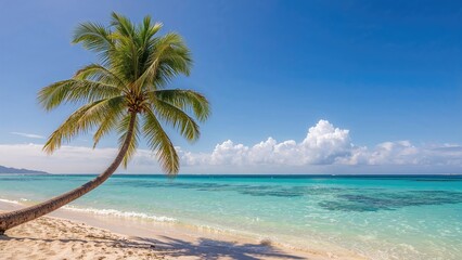 Coconut tree standing tall by the vibrant blue sea of a tropical paradise