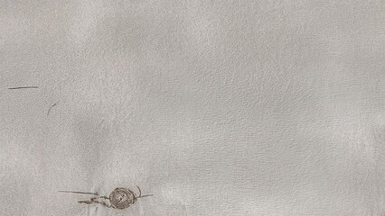 Obraz premium Detailed texture of coarse wood in soft grey and brown hues for background use in designs or ideas