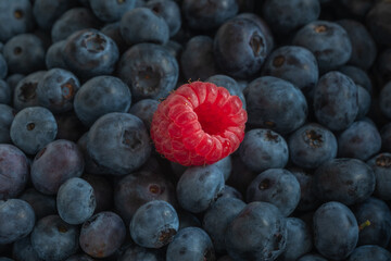 raspberry on blueberry