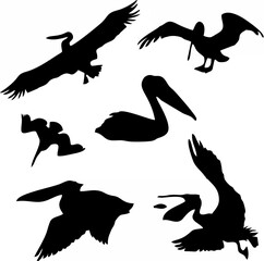 Penguin Vectors.eps
