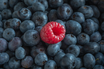 blueberries and raspberries