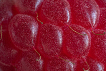 raspberry macro 