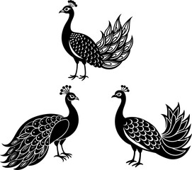 Fototapeta premium Peacock black silhouettes set, Set of peacocks, animal collections, Vector of peacock, peacock silhouette, peacock isolated on white background