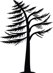 Silhouette of a Tall Evergreen Tree Against a White Background Forest Illustration