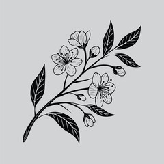 Fuchsia Flowers with Buds Illustration