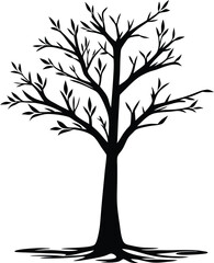 Obraz premium Silhouette of Bare Tree with Leaves Emerging in Spring Symbolic of New Beginnings and Renewal on White Background