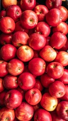 Fresh red apples, close-up