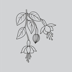 Hanging Garden Fuchsia Digital Art