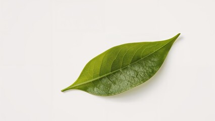 Obraz premium Single green tea cluster displayed on white surface