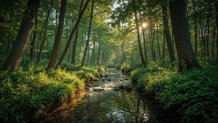 Obraz premium Tranquil Wooded Area with Water and Radiant Sun Rays