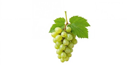 Obraz premium White background featuring green grapes and leaves, sharp throughout.