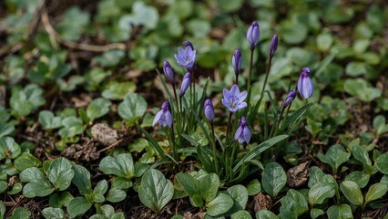 Vivid deep blue and lilac shades with intricately carved green leaves