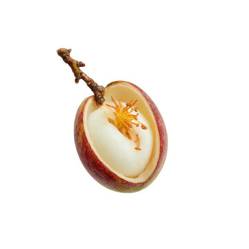 Halved Langsat Fruit with Stem on Black Background
